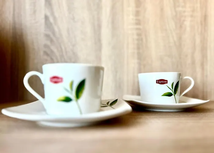 U Ani Apartmán Iława